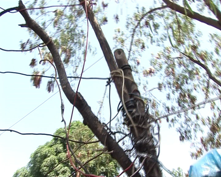 power lines.jpg